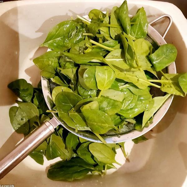 Leafy Fresh Green Spinach